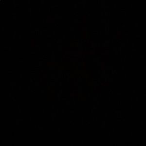 Meet your Posher, Kelesy